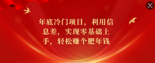 年底冷门项目，利用信息差，实现零基础上手，轻松赚个肥年钱【揭秘】_泡桐学堂