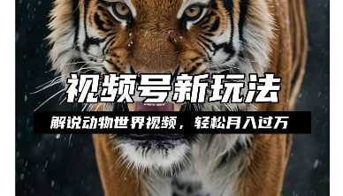 利用动物世界解说视频，赚分成计划收益，轻松月入过W，操作简单【揭秘】_泡桐学堂
