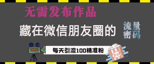 藏在微信朋友圈的流量密码，无需发布作品，单日引流100+精准创业粉【揭秘】_泡桐学堂