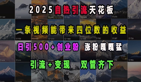 2025自热引流天花板，一条视频能带来四位数的收益，引流+变现双管齐下，日引500+创业粉，涨粉嘎嘎猛_泡桐学堂