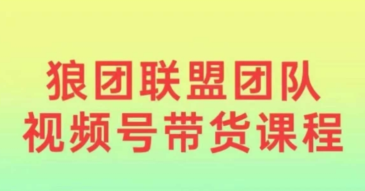 狼团联盟2024视频号带货，0基础小白快速入局视频号_泡桐学堂
