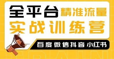 全平台精准流量实战训练营，百度微信抖音小红书SEO引流教程_泡桐学堂