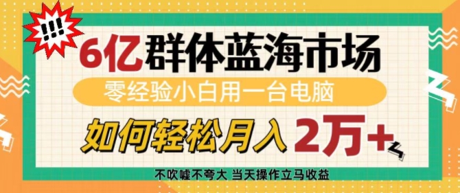 6亿群体蓝海市场，零经验小白用一台电脑，如何轻松月入过w【揭秘】_泡桐学堂