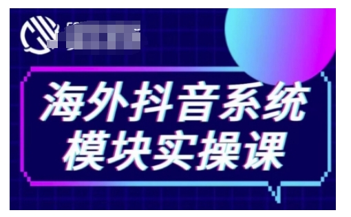 海外抖音Tiktok系统模块实操课，TK短视频带货，TK直播带货，TK小店端实操等_泡桐学堂