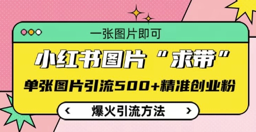 小红书图片‘求带’爆火引流法，单张图片引流500+精准创业粉【揭秘】_泡桐学堂