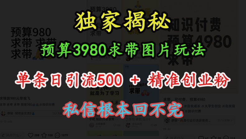 预算3980求带 图片玩法，单条日引流500+精准创业粉，私信根本回不完_泡桐学堂
