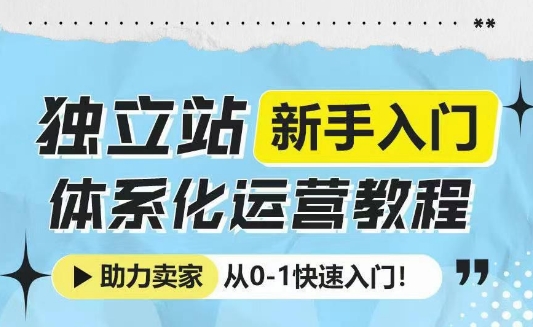 独立站新手入门体系化运营教程，助力独立站卖家从0-1快速入门!_泡桐学堂