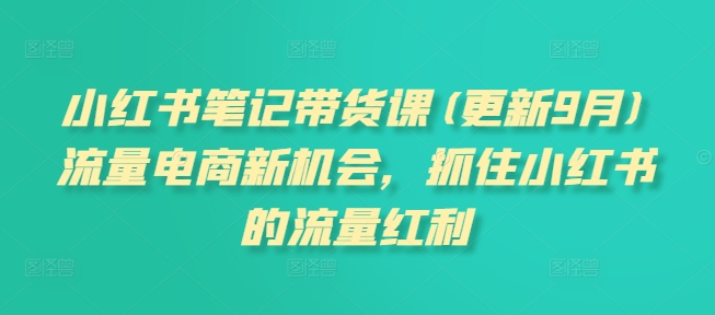 小红书笔记带货课(更新25年1月)流量电商新机会，抓住小红书的流量红利_泡桐学堂