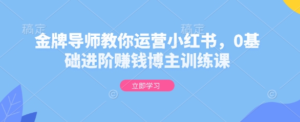 金牌导师教你运营小红书，0基础进阶赚钱博主训练课_泡桐学堂