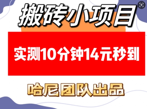 搬砖小项目，实测10分钟14元秒到，每天稳定几张(赠送必看稳定)_泡桐学堂