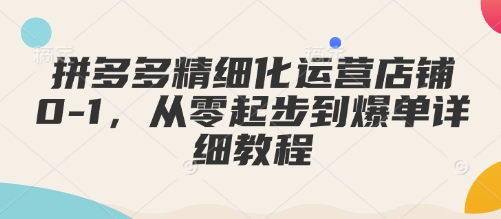 拼多多精细化运营店铺0-1，从零起步到爆单详细教程_泡桐学堂