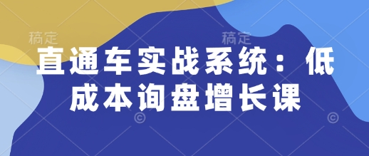 直通车实战系统：低成本询盘增长课，让个人通过技能实现升职加薪，让企业低成本获客，订单源源不断_泡桐学堂