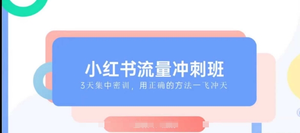 小红书流量冲刺班2025，最懂小红书的女人，快速教你2025年入局小红书_泡桐学堂