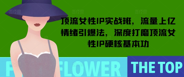 顶流女性IP实战班，流量上亿情绪引爆法，深度打磨顶流女性IP硬核基本功_泡桐学堂
