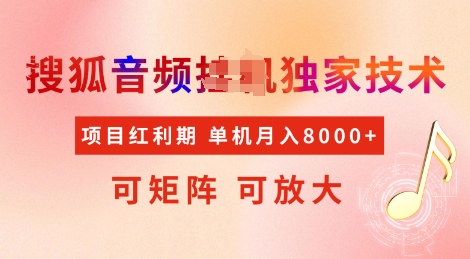 全网首发搜狐音频挂JI独家技术，项目红利期，可矩阵可放大，稳定月入8k【揭秘】_泡桐学堂