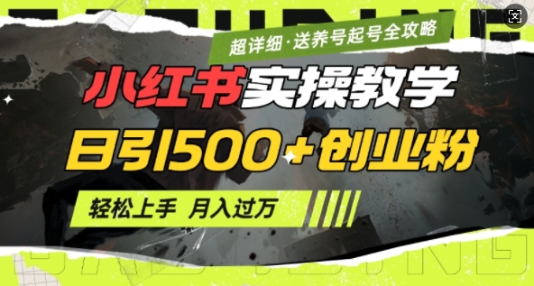 2月小红书最新日引500+创业粉实操教学【超详细】小白轻松上手，月入1W+，附小红书养号起号SOP_泡桐学堂