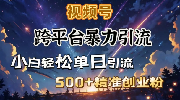 跨平台暴力引流，私域完美闭环，日引500+精准创业粉_泡桐学堂