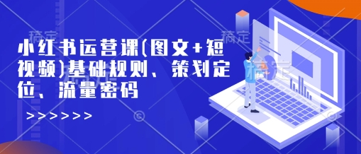 小红书运营课(图文+短视频)基础规则、策划定位、流量密码_泡桐学堂