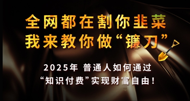 全网都在割你韭菜，我来教你做镰刀，2025年普通人如何通过 知识付费 实现财F自由【揭秘】_泡桐学堂