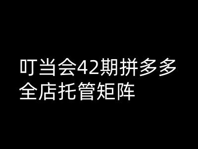 叮当会拼多多打爆班原创高阶技术第42期，拼多多全店托管矩阵_泡桐学堂