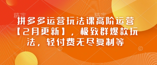 拼多多运营玩法课高阶运营【2月更新】，极致群爆款玩法，轻付费无尽复制等_泡桐学堂