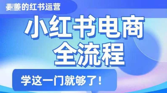 小红书电商全流程，精简易懂，从入门到精通，学这一门就够了_泡桐学堂
