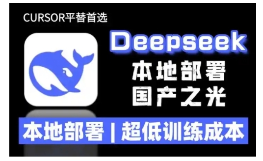 2025年deepseek R1 大型模型本地安装部署(文件+教程)本地部署，超低训练成本_泡桐学堂