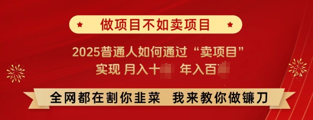 必看，做项目不如卖项目，2025普通人如何通过“卖项目”实现月入十个，年入百个_泡桐学堂
