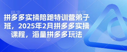 拼多多实操陪跑特训营弟子班，2025年2月拼多多实操课程，海量拼多多玩法_泡桐学堂