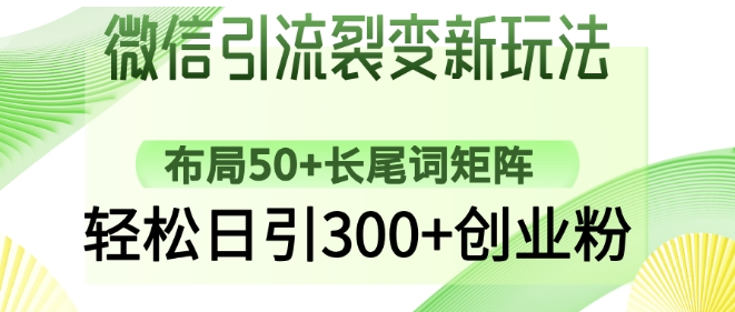 微信引流裂变新玩法：布局50+长尾词矩阵，轻松日引300+创业粉_泡桐学堂