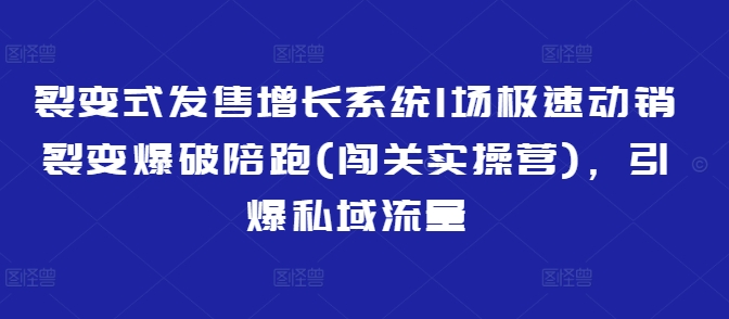 裂变式发售增长系统1场极速动销裂变爆破陪跑(闯关实操营)，引爆私域流量_泡桐学堂