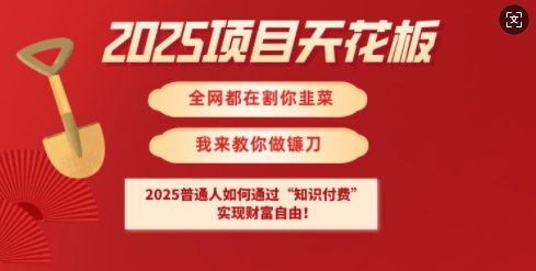 2025项目天花板普通人如何通过知识付费，实现财F自由【揭秘】_泡桐学堂