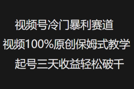 视频号冷门暴利赛道视频100%原创保姆式教学起号三天收益轻松破千_泡桐学堂