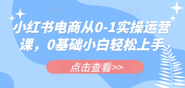 小红书电商从0-1实操运营课，0基础小白轻松上手_泡桐学堂