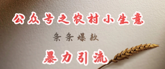 deepseek写农村小项目，条条爆款，暴力引流_泡桐学堂