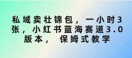 私域卖壮锦包，一小时3张，小红书蓝海赛道3.0版本， 保姆式教学_泡桐学堂