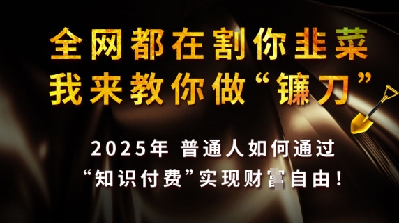 全网都在割你韭菜，我来教你做镰刀，2025普通人如何通过知识付费，实现财F自由【揭秘】_泡桐学堂