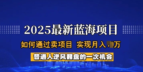 2025蓝海项目，普通人如何通过卖项目，实现月入过W，全过程【揭秘】_泡桐学堂