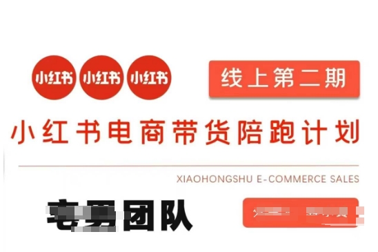 小红书电商带货课2期，月利润20个的小红书电商的有货源，无货源，虚拟产品，付费投流等整套玩法_泡桐学堂
