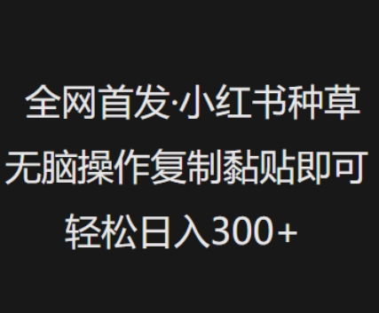 全网首发，小红书种草无脑操作，复制黏贴即可，轻松日入3张_泡桐学堂