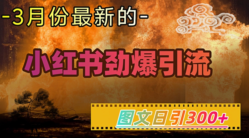 小红书超劲爆引流手段，图文日引300+轻松变现1W_泡桐学堂