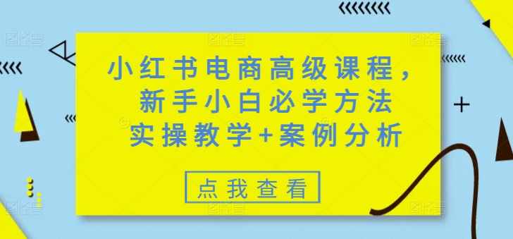 小红书电商高级课程，新手小白必学方法，实操教学+案例分析_泡桐学堂