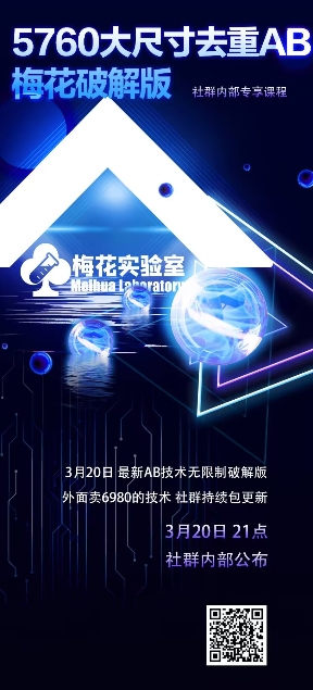 视频号连怼玩法-5760大尺寸去重AB技术-梅花实验室社群专享_泡桐学堂
