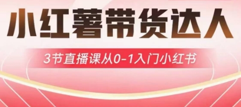小红薯达人带货启航计划，3节直播课从0-1入门小红书_泡桐学堂