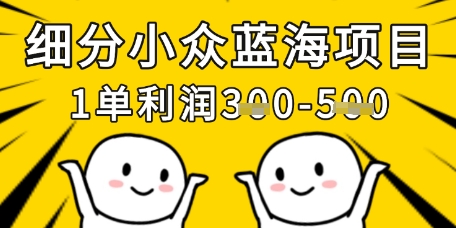 细分小众蓝海项目，一单利润3张，每月收入稳定过1w+_泡桐学堂