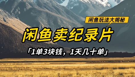 闲鱼卖纪录片1单3块钱，1天几十单，项目稳定有潜力_泡桐学堂
