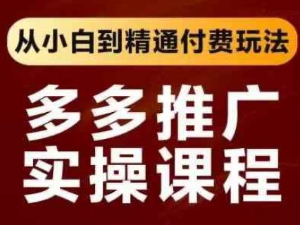 拼多多推广实操课程，从小白到精通付费玩法_泡桐学堂