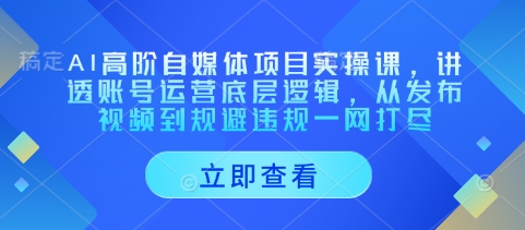AI高阶自媒体项目实操课，讲透账号运营底层逻辑，从发布视频到规避违规一网打尽_泡桐学堂