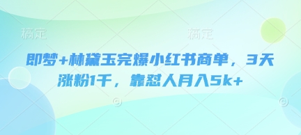 即梦+林黛玉完爆小红书商单，3天涨粉1千，靠怼人月入5k+_泡桐学堂