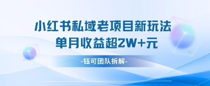 小红书私域项目新玩法，单月变现过W+_泡桐学堂